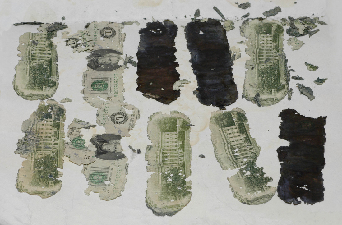 Portion of Brian Ingram's discovery in 1980.